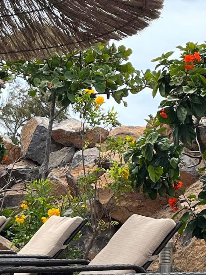 fb img 1675404068717 kl